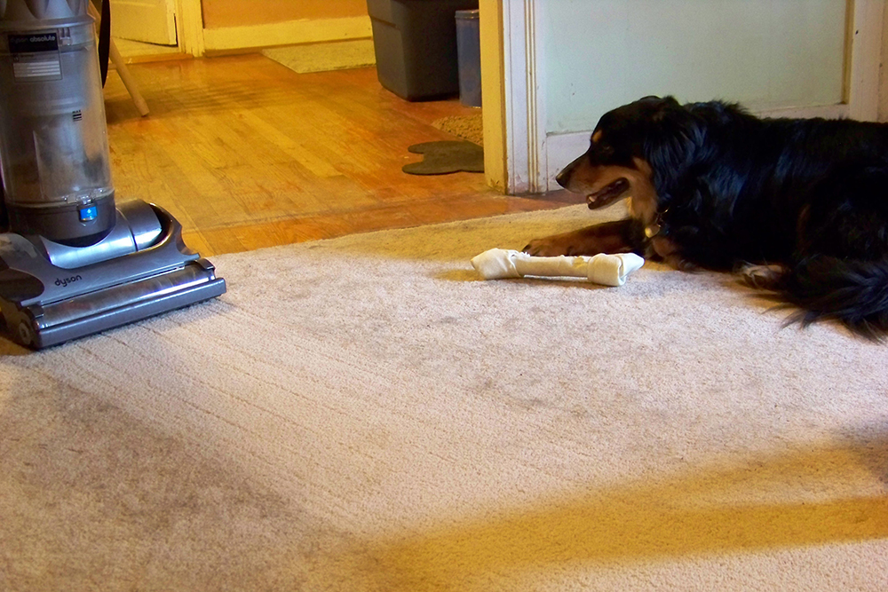 Lead Hazard Awareness Project Housecleaning for Lead Safety Clean